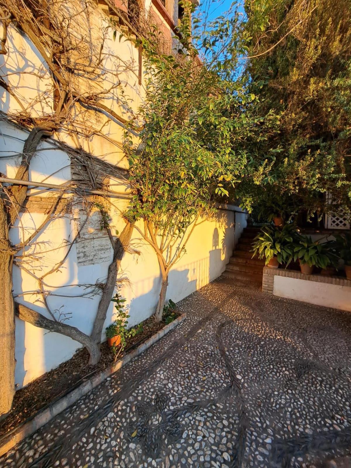 Carmen De Belen Apartment Granada Ngoại thất bức ảnh